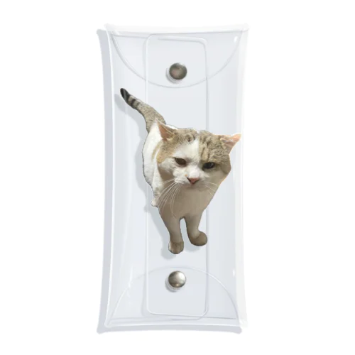 だいふくさん Clear Multipurpose Case