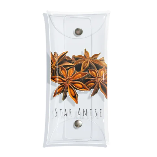 STAR ANISE Clear Multipurpose Case