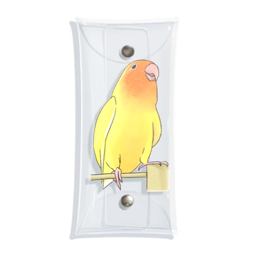 得意げ可愛い　コザクラインコちゃん【まめるりはことり】 Clear Multipurpose Case