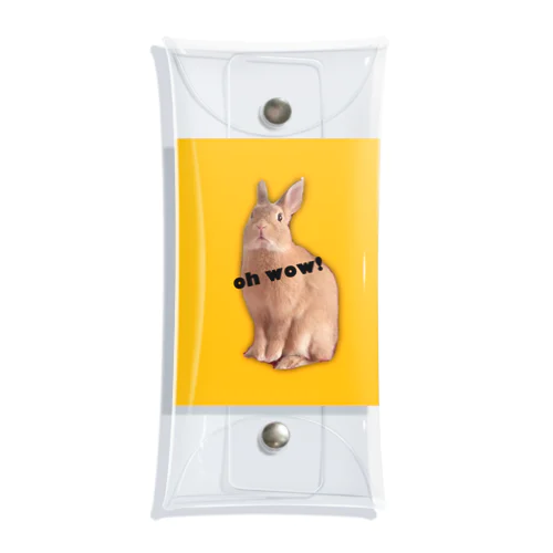 RAVI the rabbit Clear Multipurpose Case