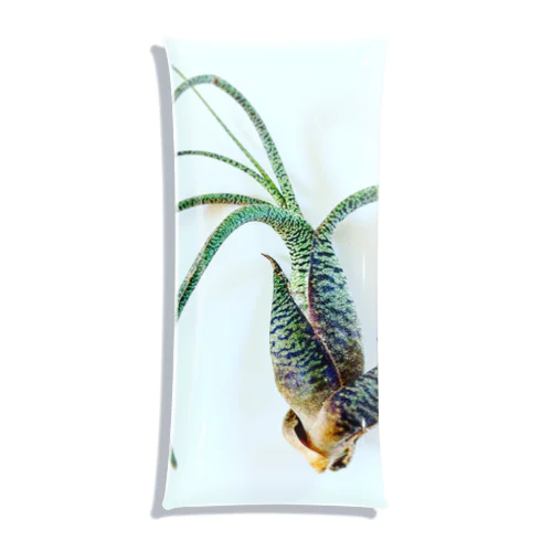 Tillandsia Clear Multipurpose Case