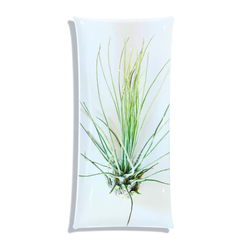 Tillandsia Clear Multipurpose Case