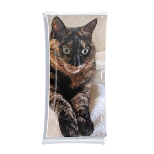 鼈甲猫小梅さん Clear Multipurpose Case