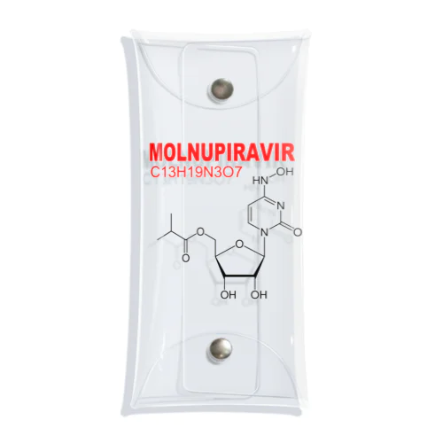 モルヌピラビル クリアマルチケース