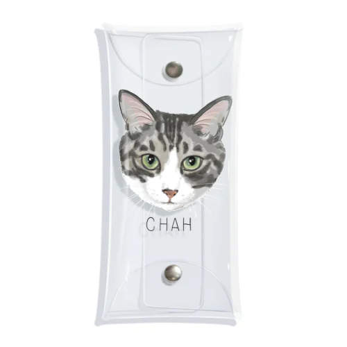 chah Clear Multipurpose Case