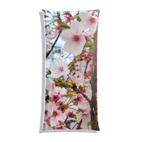 桜のクリアマルチケース Clear Multipurpose Case