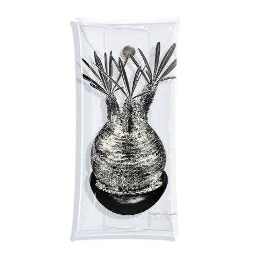 Pachypodium Gracilius Clear Multipurpose Case