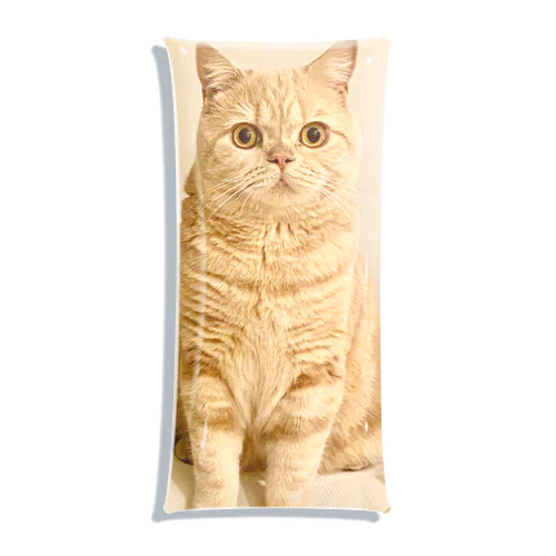 猫のルビー Clear Multipurpose Case