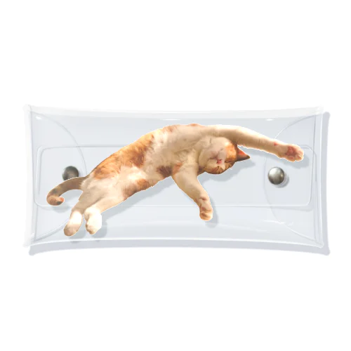 のびのびゾエキャット Clear Multipurpose Case