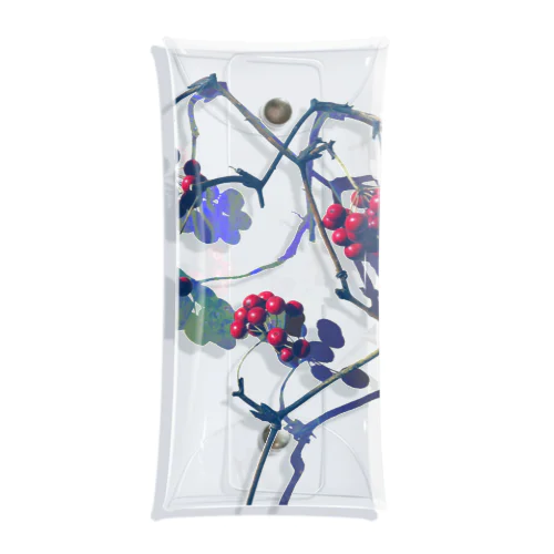 sankirai Clear Multipurpose Case