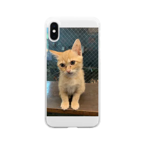 カレーちゃん　猫 Clear Smartphone Case