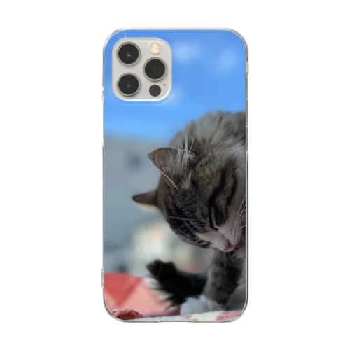 たびねこ蜜柑 Clear Smartphone Case