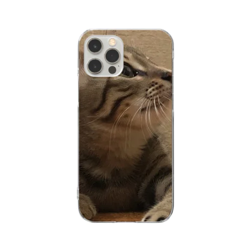 見つめる猫 Clear Smartphone Case