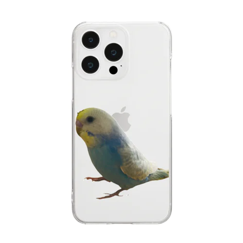 遊びすぎて頭が汚れてしまったセキセイインコくん Clear Smartphone Case