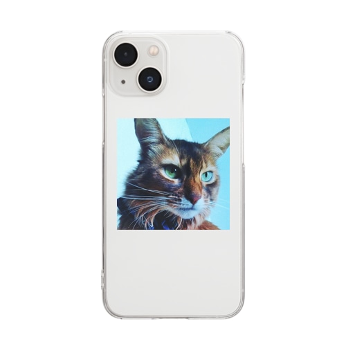 ソマリ猫パスカル2️⃣ Clear Smartphone Case