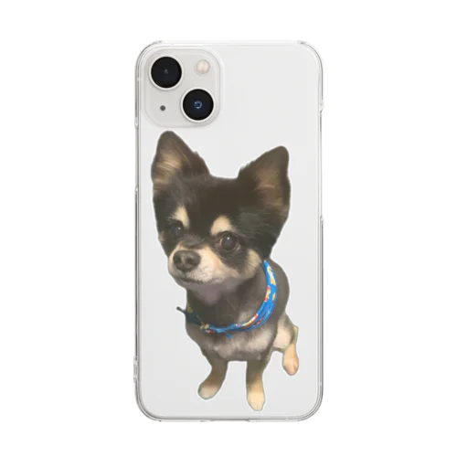 我が家の愛犬レン君 🐶1 Clear Smartphone Case