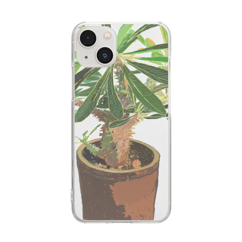 Pachypodium densiflorum Clear Smartphone Case