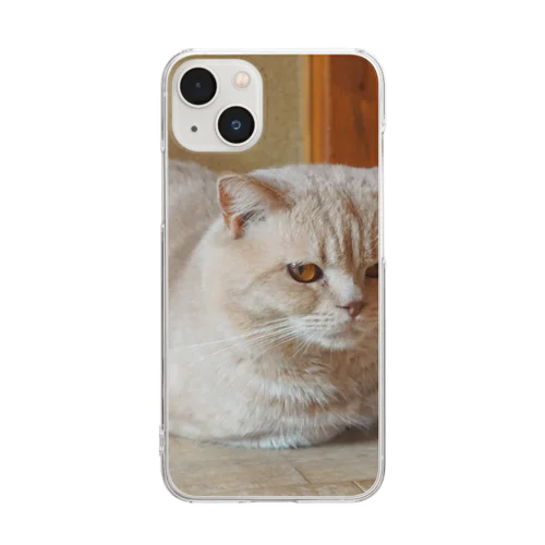 香箱座りをする猫 Clear Smartphone Case