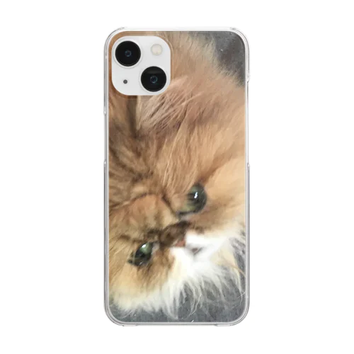 ぶちゃ猫・茶々丸 Clear Smartphone Case