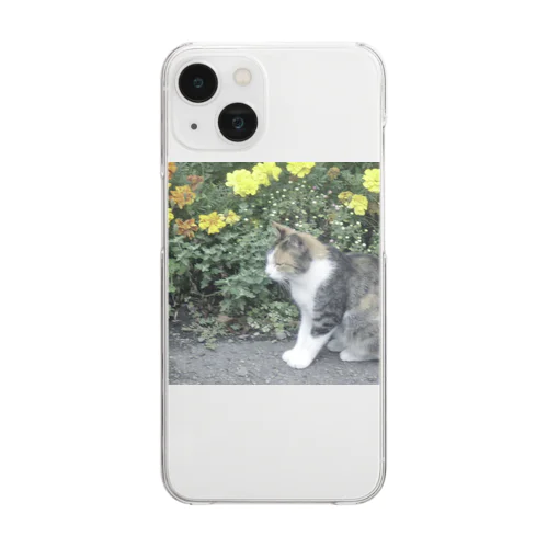 hometown cat Clear Smartphone Case