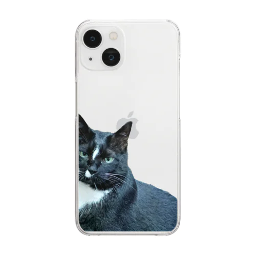 全部わかってる愛猫 Clear Smartphone Case