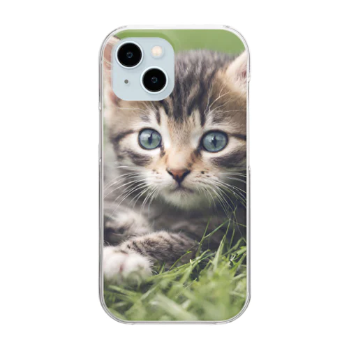 わくわくな気持ちで見つめる子猫 Clear Smartphone Case