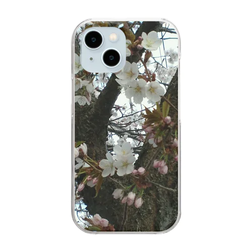 201605121700000　曇り日の桜 Clear Smartphone Case