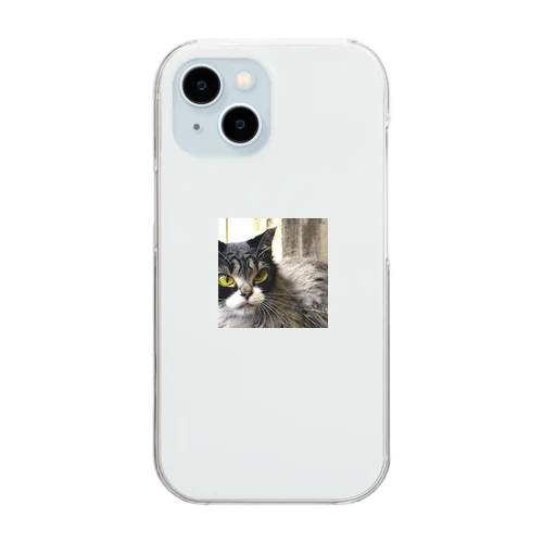 疲れた身体をいやすねこちゃん Clear Smartphone Case