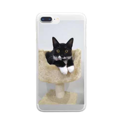 くつしたねこ Clear Smartphone Case