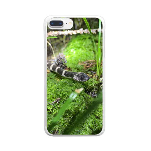 幻の蛇？シロマダラ Clear Smartphone Case