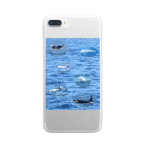 船上から見た鯨類(1) 투명 스마트폰 케이스
