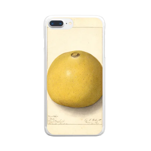 Aegle marmelos  Clear Smartphone Case