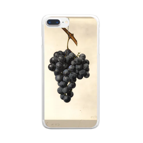 Vitis: Wittel No. 42 Clear Smartphone Case
