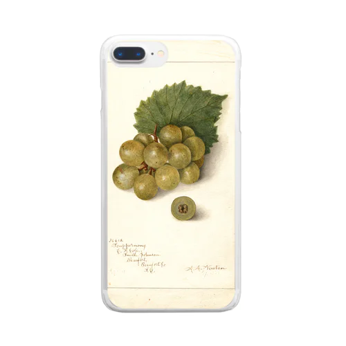 Scuppernong  Clear Smartphone Case