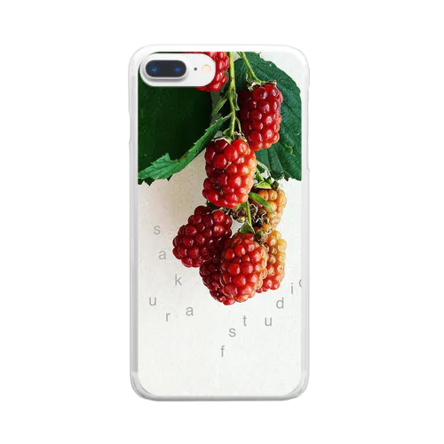 Blackberry  Clear Smartphone Case