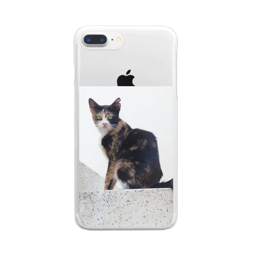 猫好きの聖地、マルタ島の猫さん Clear Smartphone Case