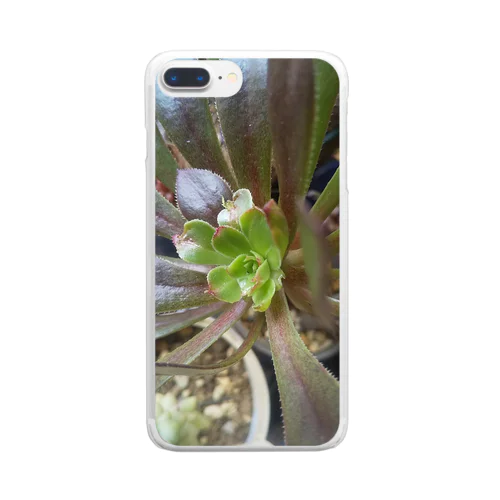 多肉植物の黒法師 Clear Smartphone Case