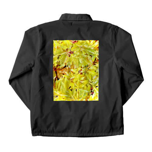 欣酔 -Kinyo- No.1 Coach Jacket