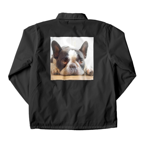 ふれぶるルーくん Coach Jacket