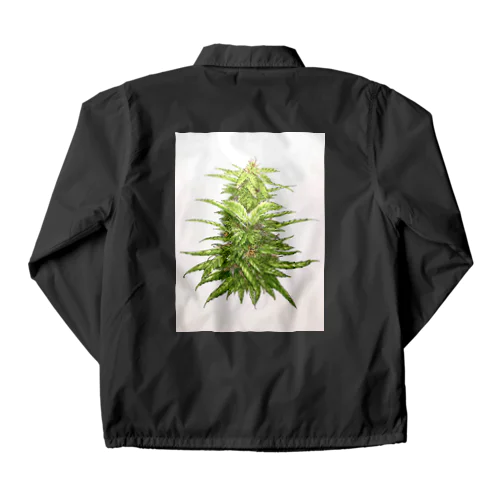 chill time Coach Jacket