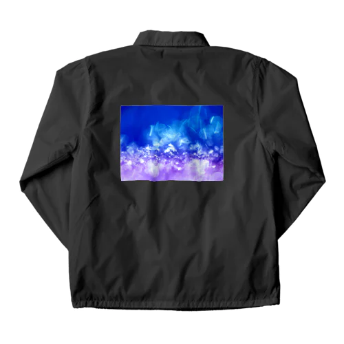 ICE Coach Jacket