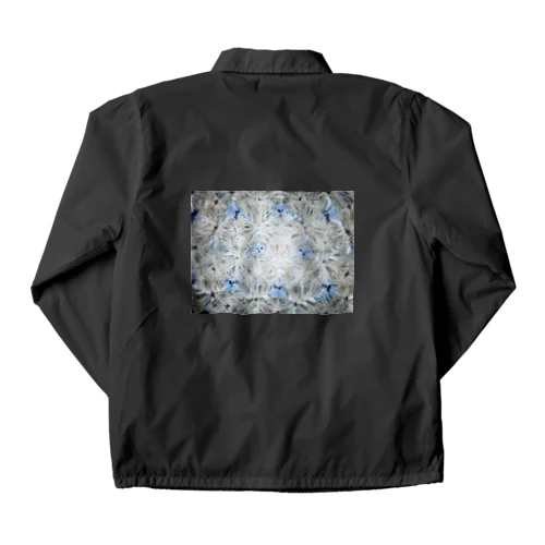 Root　1 Coach Jacket