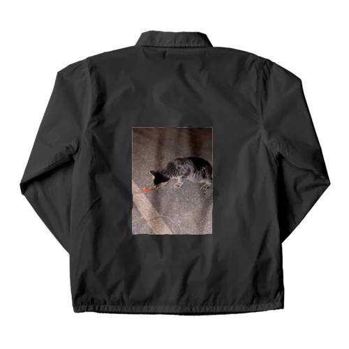 猫さん Coach Jacket