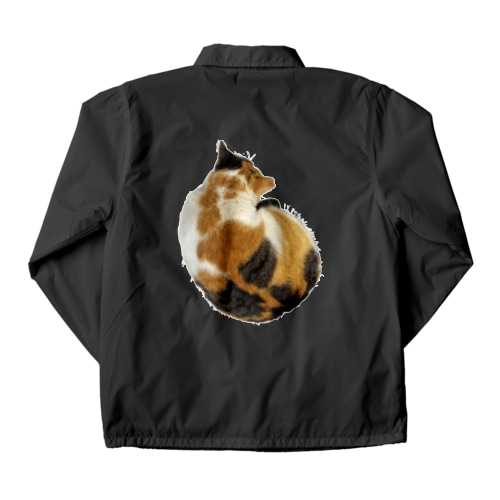 ハシモニャイト Coach Jacket