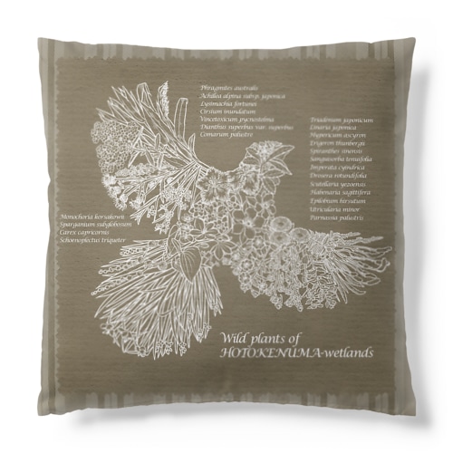 Wild plants of HOTOKENUMA-wetlands（黒線+白線） Cushion