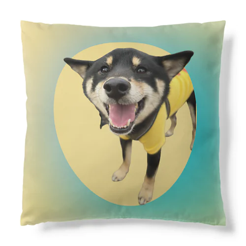 Smile Cushion