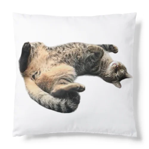 キジトラ猫ニャッハーへそ天 Cushion