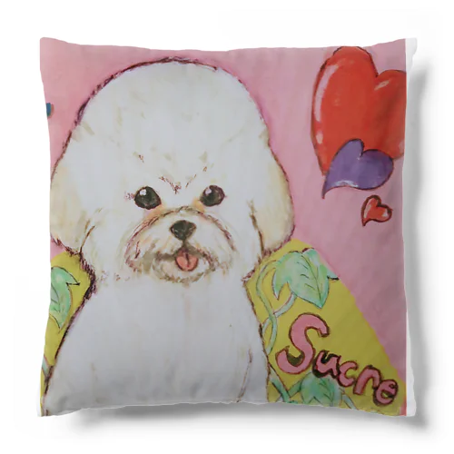 100均画材のお手製マイ・プリンセス Cushion