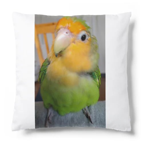 私がぴー様だ、みぎ向き Cushion