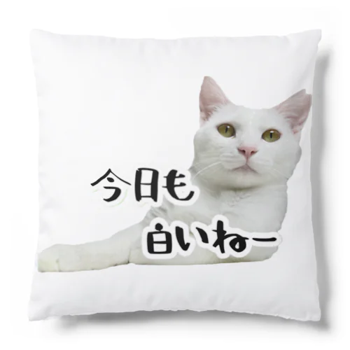 今日も白いねクッション Cushion